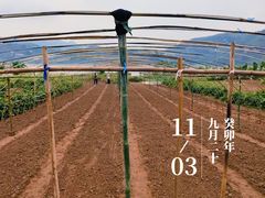 -木洞河街