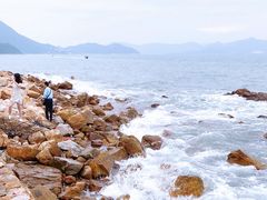 -杨梅坑