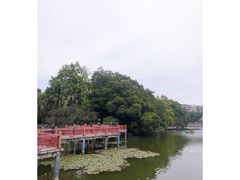 -东山湖公园