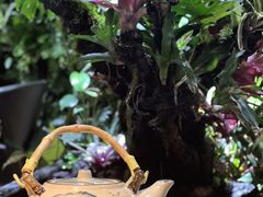 -森味薪火烧•烧鸟居酒屋•日本料理(望京店)