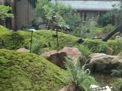 -忆江南·临江鱼馆