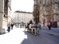 -斯蒂芬主教座堂(Stephansdom)