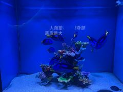 -台州海洋世界