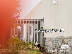 -大青山野生动物园