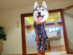 -苏州湾王焰温泉度假酒店