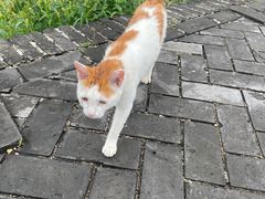 -圆明园停车场
