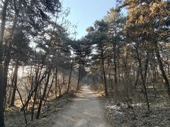 -北陵公园