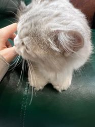 -情同手足美甲美睫