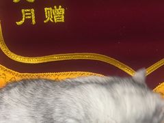 -嘉馨宠物医院·CT影像转诊·心脏科·犬猫全科诊疗中心(下沙大学城院区)