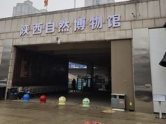 -陕西自然博物馆