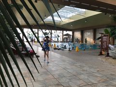 -陆地游轮吉林神农温泉