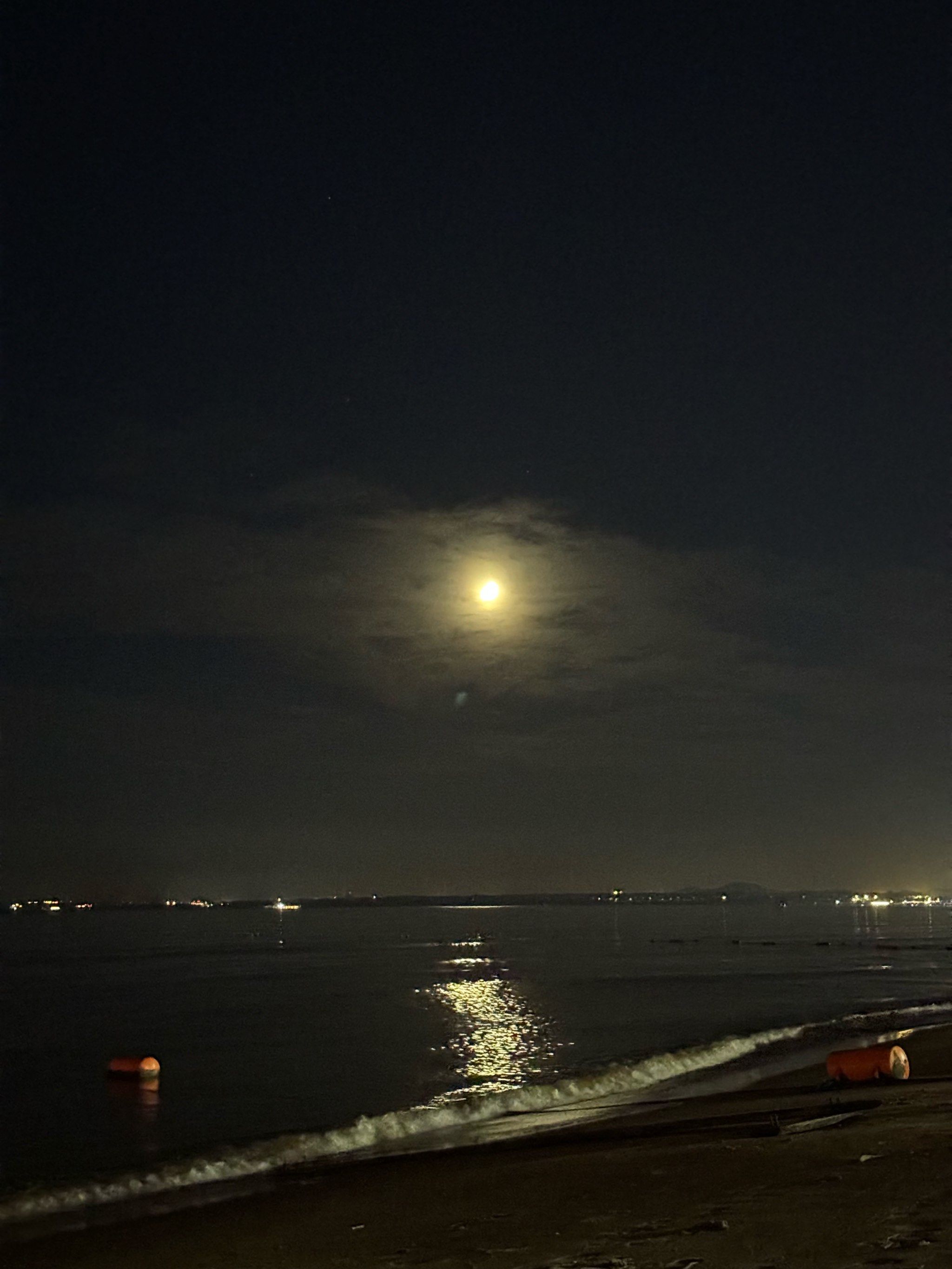 深色的海面铺满白色的月光