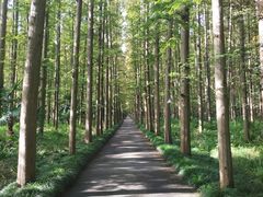 -上海怡沁园度假酒店