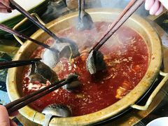 鲜毛肚-小天鹅火锅·一线江景洪鼎旗舰店(洪崖洞店)