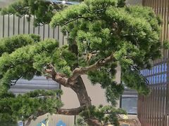 -聆桂烤鸭·金奖烤鸭(静联广场店)