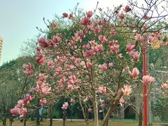 -烈士陵园(地铁站)