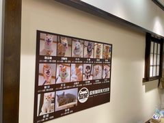 -逗柴咖啡屋·狗咖猫咖宠物桌游