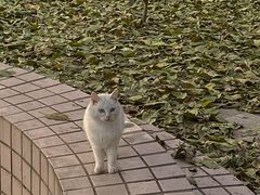 -中国石油大学（北京）(北京西校区)