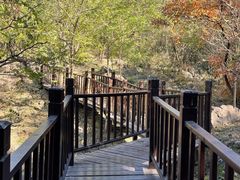 -北京十三陵国家森林公园蟒山景区