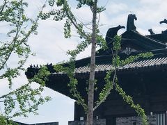 -东台西溪天仙缘景区