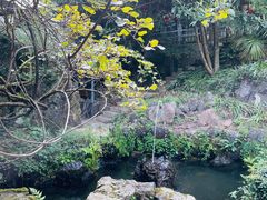 -黄山翡翠谷景区