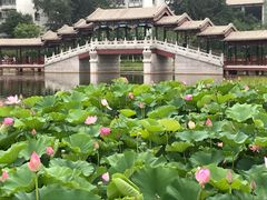 -西海子公园