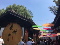 -天目湖山水园