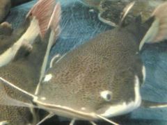 android_upload_pic-洛阳龙门海洋馆
