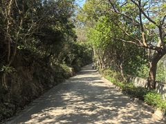-小南山公园