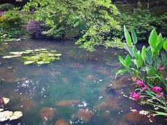 -杭州半山国家森林公园