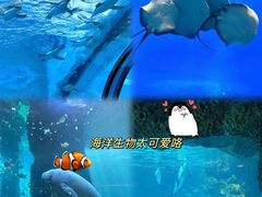 -珠海长隆海洋王国