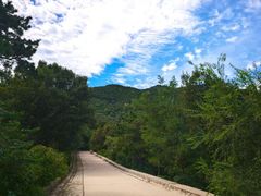 -北京西山国家森林公园