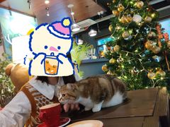 -咖法森林·咖啡  酒吧(天河店)