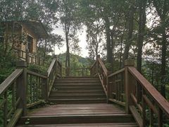 -石燕湖生态旅游景区