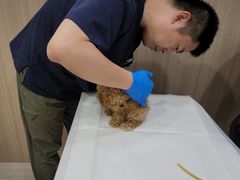 -申普宠物医院·眼科·心内科·影像科(普陀分院)
