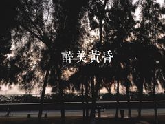 -宝安西湾红树林湿地公园