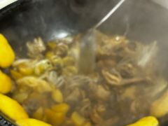 -粘豆包柴火铁锅炖