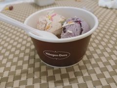 哈根达斯-长沙三景韦尔斯利酒店·Oval全日制餐厅自助餐