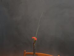 -觀芷隐轩