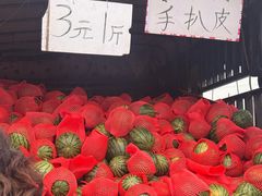 -蒲河大集