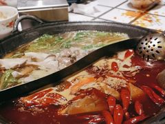 -朱光玉火锅馆(正弘城店)