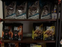 -宠福鑫动物医院·动物疾病诊疗中心(天通苑店)