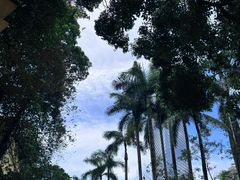 -深圳华侨城洲际大酒店