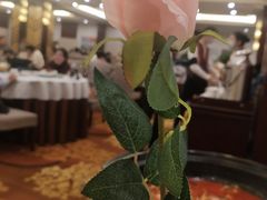 -贵州大厦贵州厅(樱花园西街店)