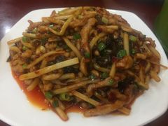 鱼香肉丝-力力豆花庄(广渠门店)