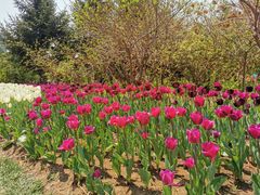 -长春公园(普阳街道)