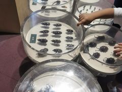 -陕西自然博物馆