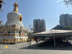 -护国法轮寺