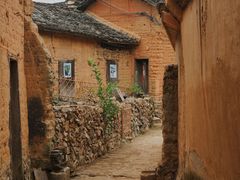 -杨家堂村
