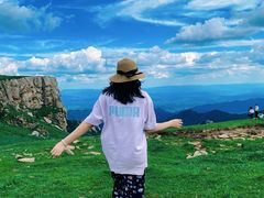 -芦芽山旅游度假区